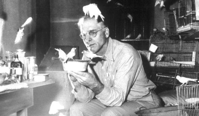 Screen Shot 2018-02-24 at 11.15.25 PM.png