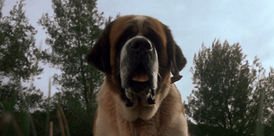 Screen Shot 2018-06-08 at 10.13.11 AM