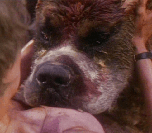 Screen Shot 2018-06-08 at 10.14.04 AM