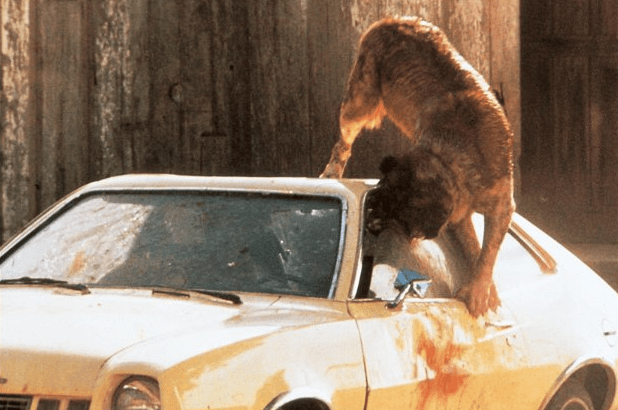 Screen Shot 2018-06-08 at 10.27.55 AM