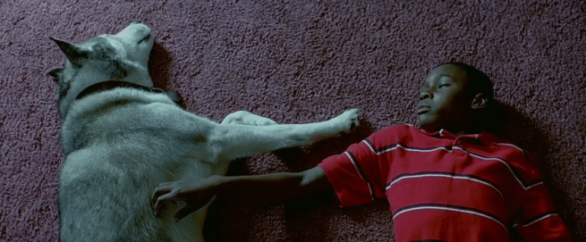 Screen Shot 2018-07-26 at 3.24.59 PM