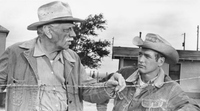 Screen Shot 2019-05-02 at 4.43.19 PM.png